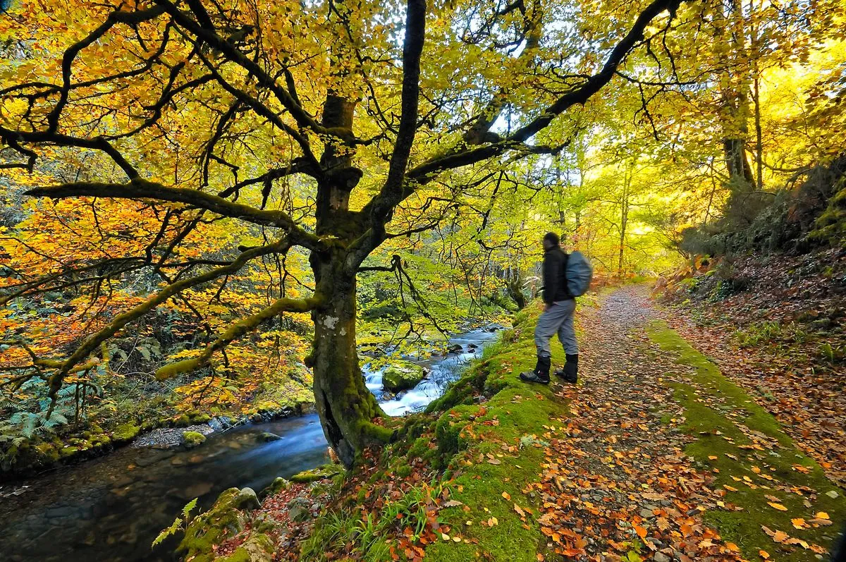 AEMET prevé un otoño más cálido y seco en España para 2024