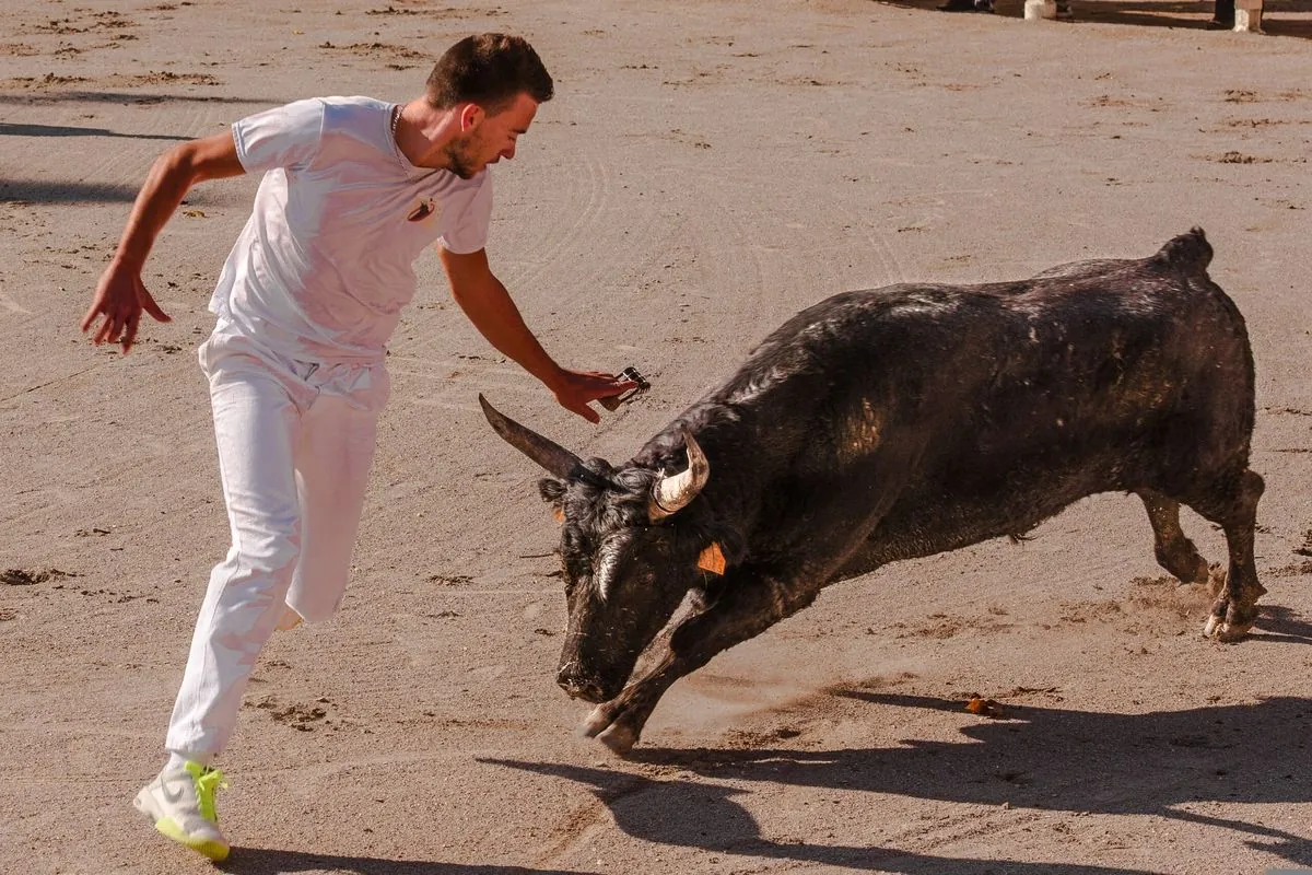 Valencia celebra polémico encierro taurino infantil simulado