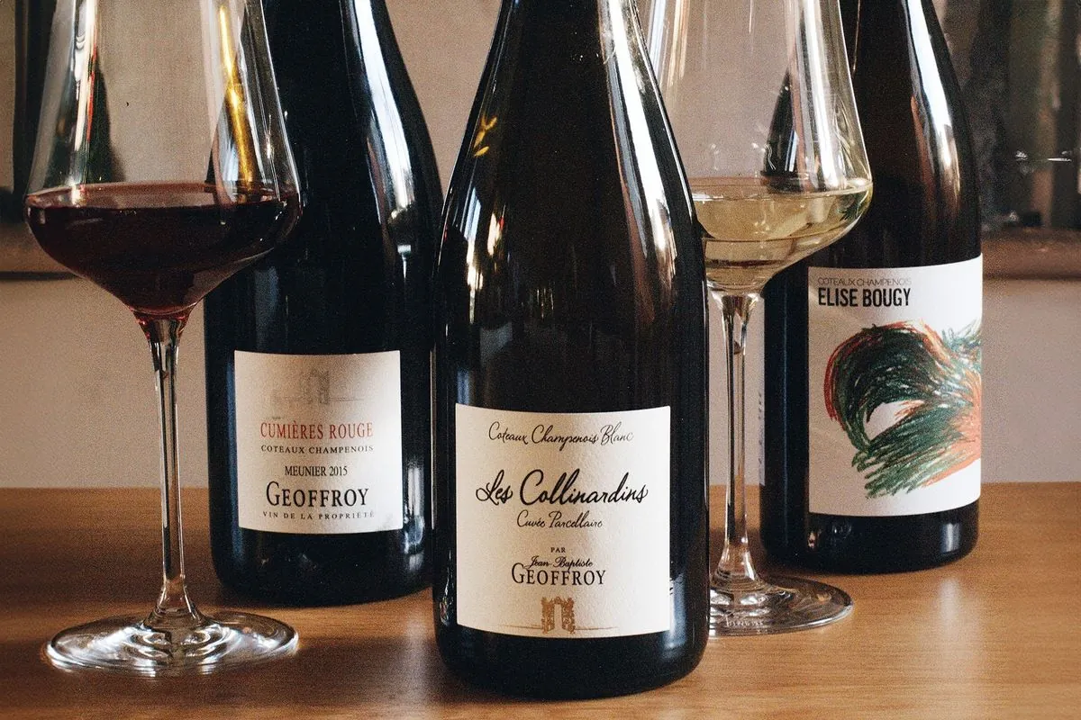 El renacimiento de los Coteaux Champenois: Cinco vinos para descubrir