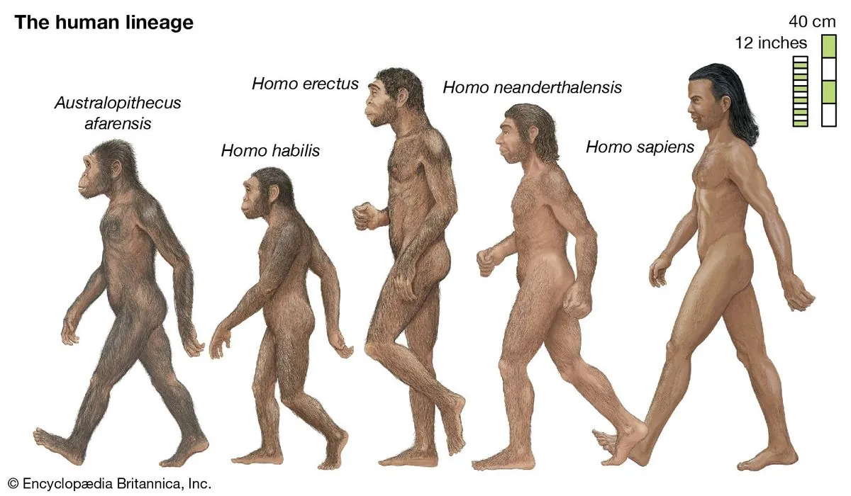 Defectos de diseño del cuerpo humano: de atragantamientos a vestigios evolutivos