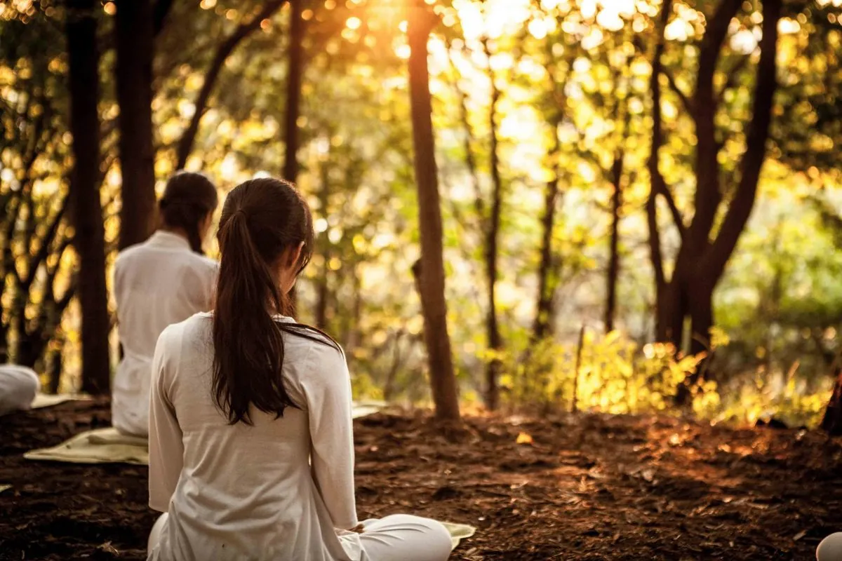 Yoga Vinyasa: La Energía Matutina que Necesitas este Otoño