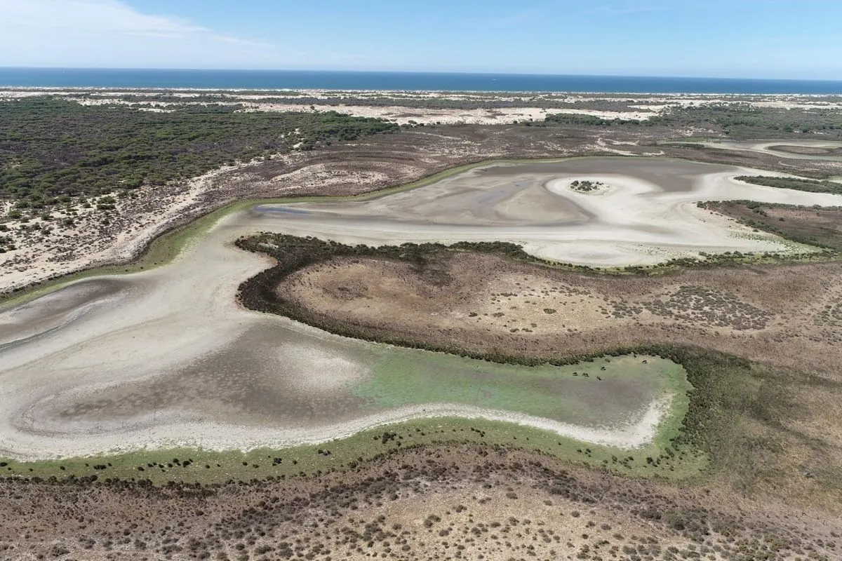 Doñana en crisis: sequía y sobreexplotación amenazan su biodiversidad