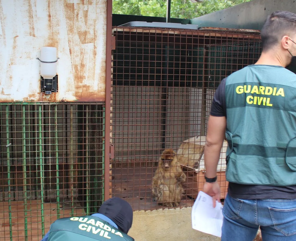 Policía resuelve asesinato por encargo vinculado al narcotráfico en Granada