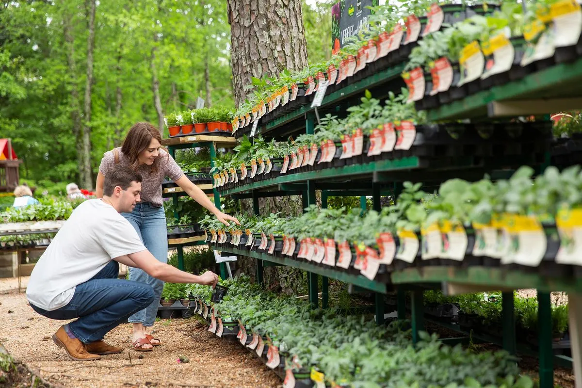 guia-practica-que-plantar-en-tu-jardin-antes-del-invierno-que-viene