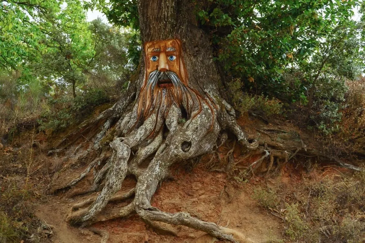 El pueblo mágico de Málaga donde los duendes cobran vida en el bosque