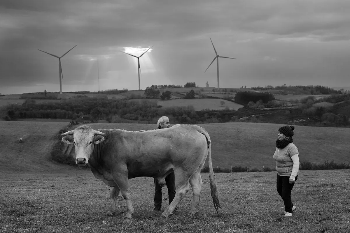 Galicia sacude el sector eólico con un plan que cambiará todo el panorama energético