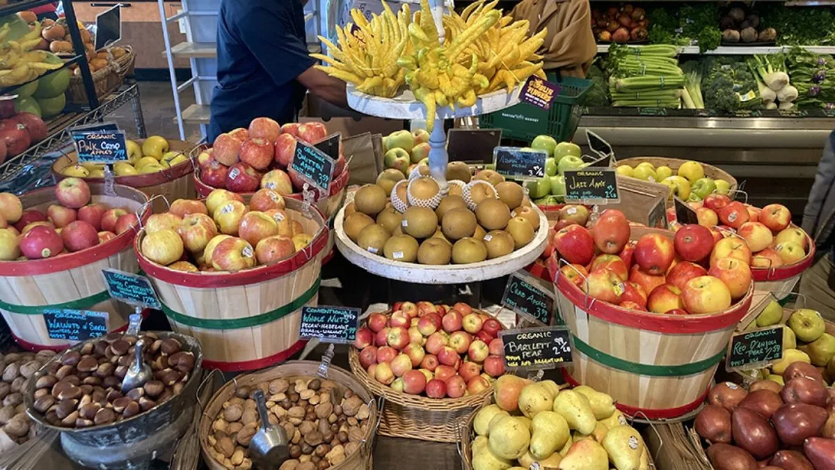 Guía completa: Los mejores alimentos para este invierno que no romperán tu bolsillo